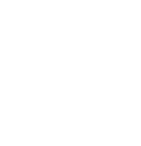 Globe icon