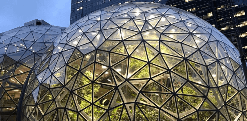 FEVE Resin Technology Protects Amazon’s Spectacular Spheres