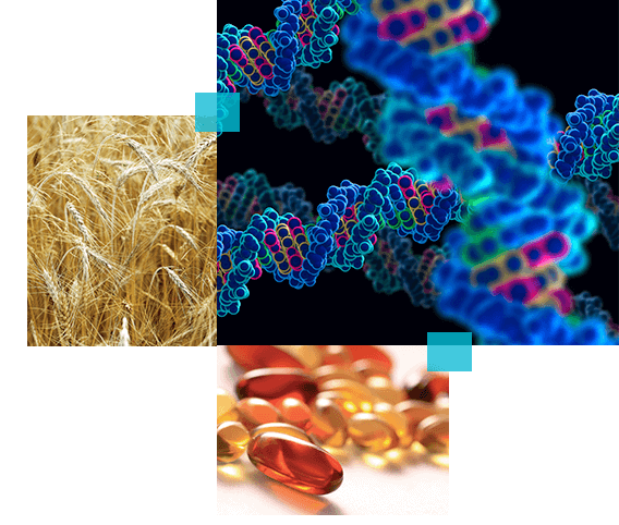 Fluorine specialty ingredients used in pharmaceutical manufacturing.